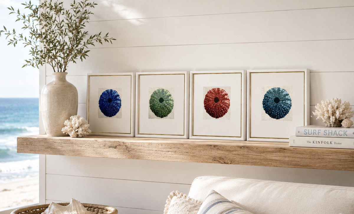 The Hamptons Collection