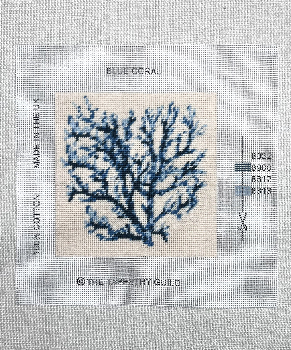 The Hamptons - Blue Coral