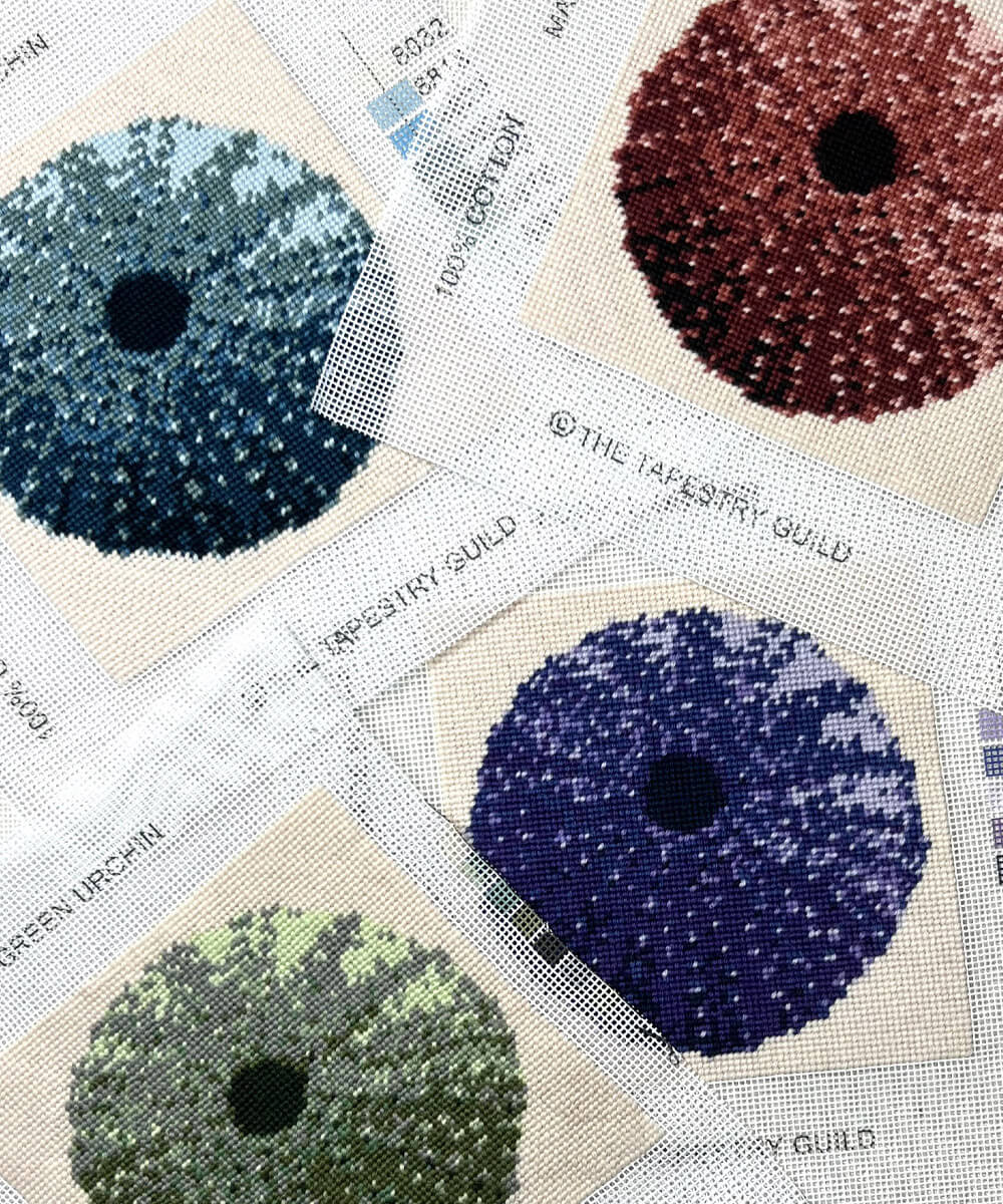 The Hamptons - Blue Urchin