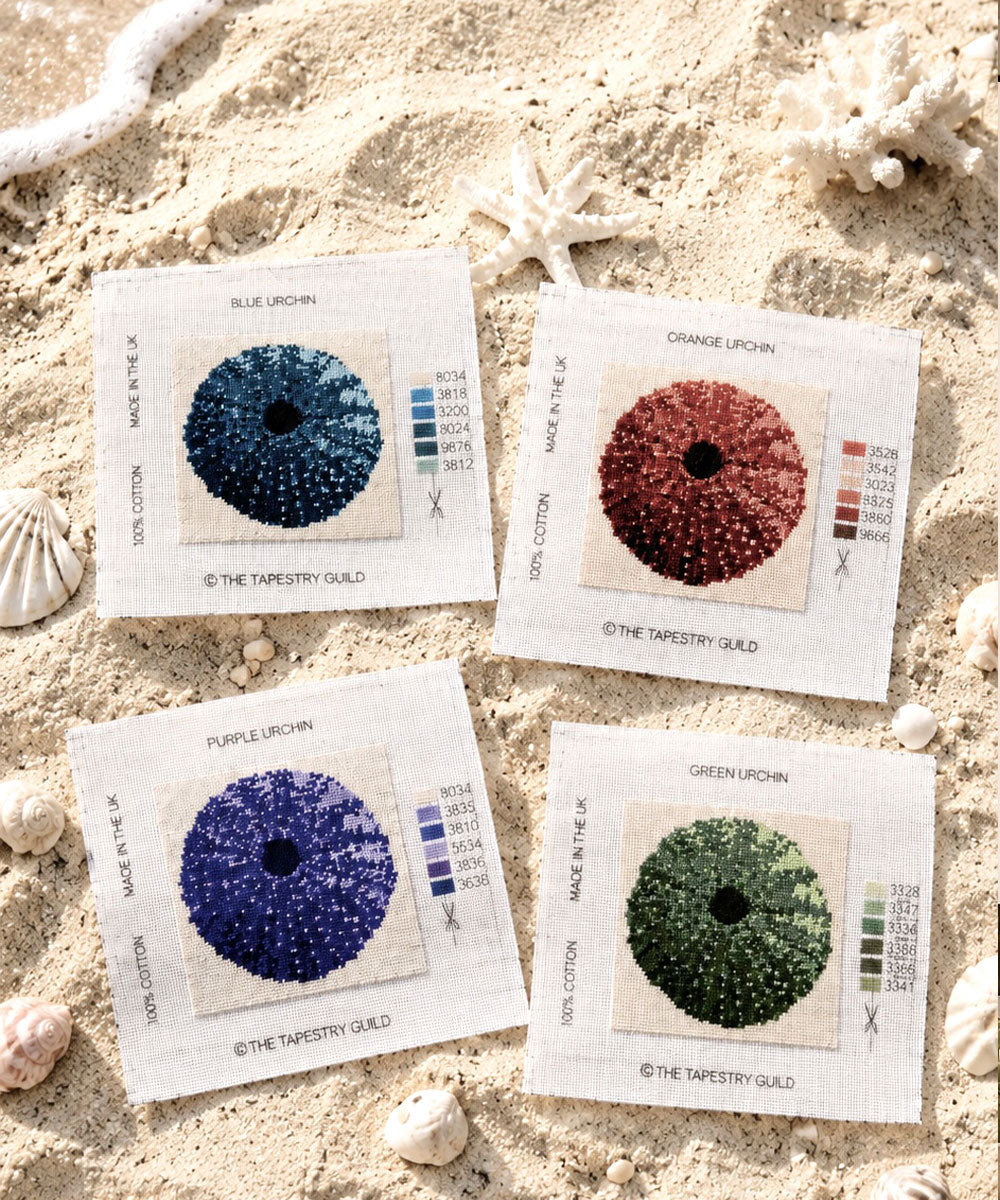 The Hamptons - Orange Urchin