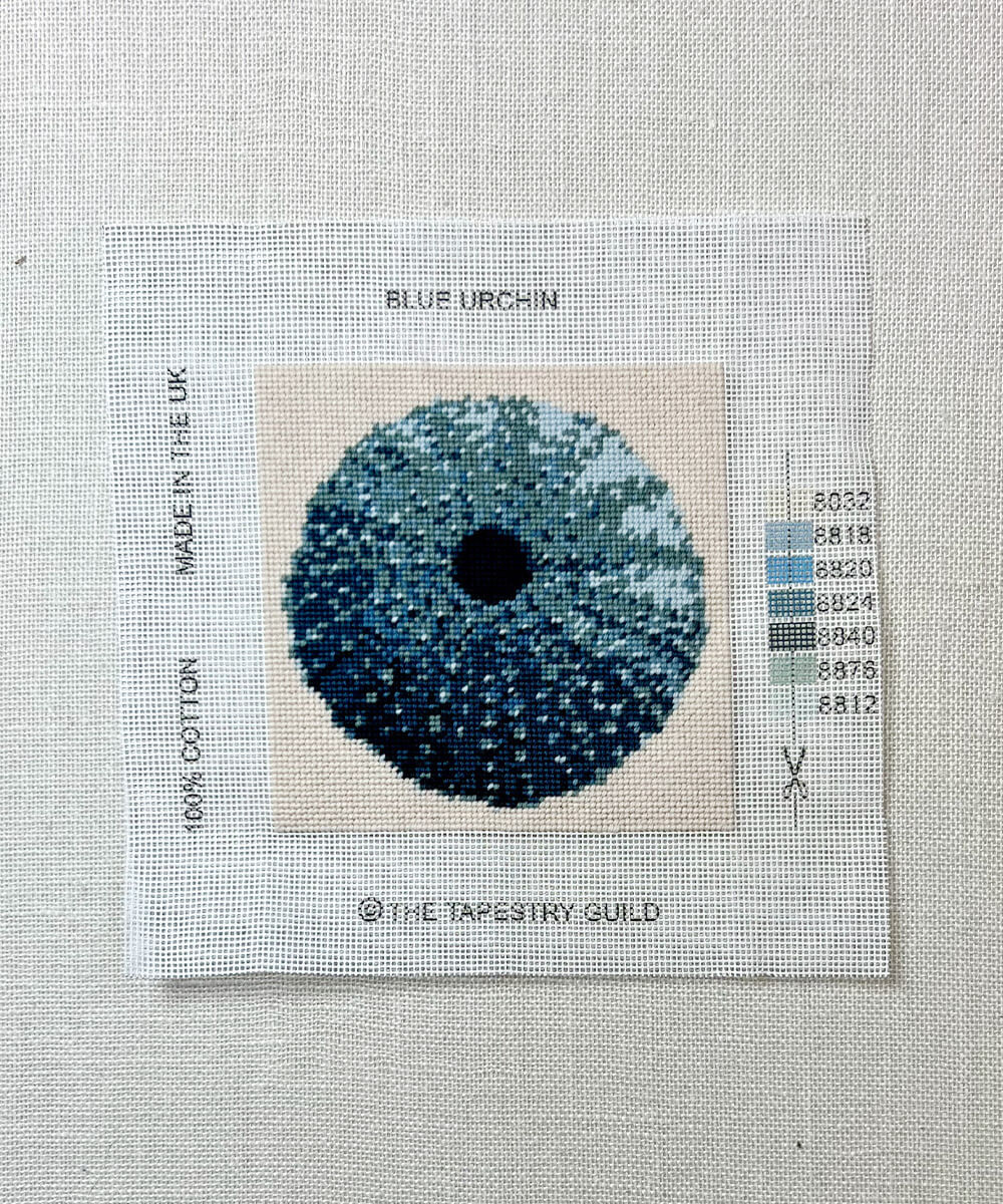 The Hamptons - Blue Urchin