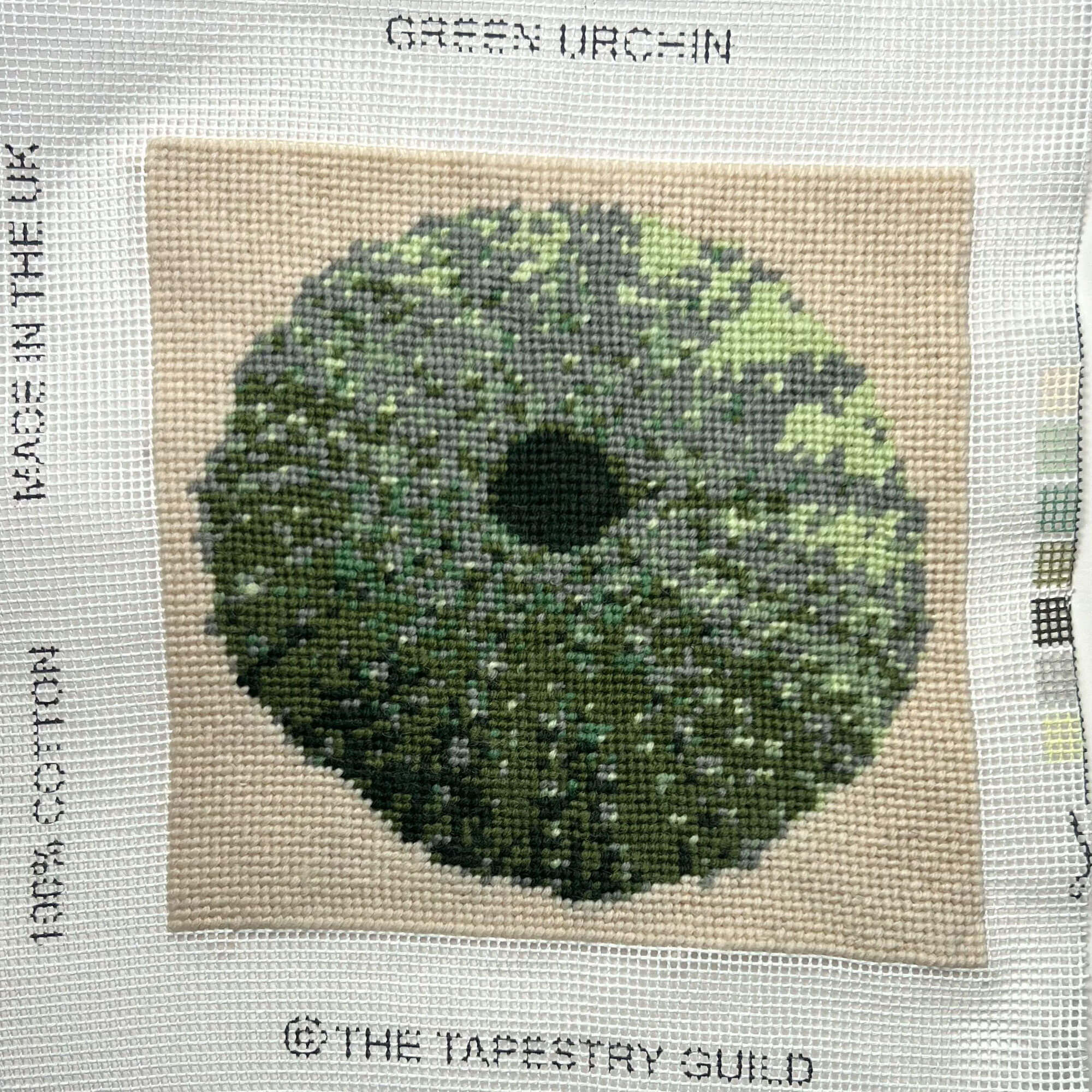 The Hamptons - Green Urchin