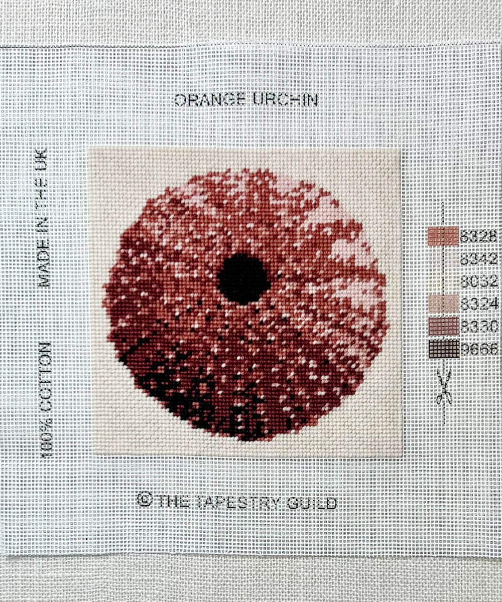 The Hamptons - Orange Urchin